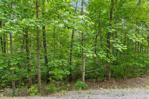 LOT 414 TALL TREE TR, DUNLAP, TN 37327, photo 4 of 29