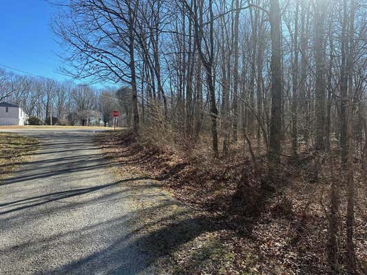 TRACT 2 NEWT MEEKS ROAD, TRACY CITY, TN 37387, photo 2 of 3