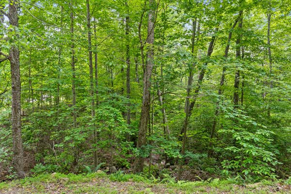 LOT 414 TALL TREE TR, DUNLAP, TN 37327, photo 2 of 29