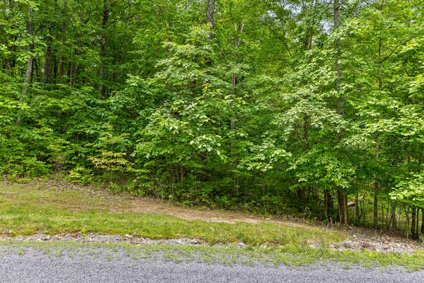 534 WILDERNESS WAY, DUNLAP, TN 37327 - Image 1