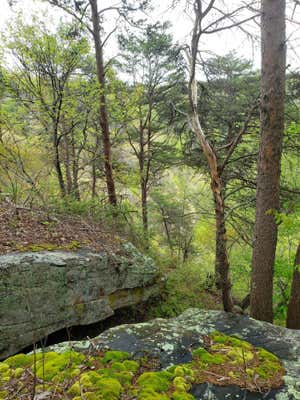 0 BRIDAL VEIL, MONTEAGLE, TN 37356, photo 3 of 21