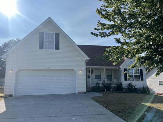 381 BLUFF VIEW DR, RINGGOLD, GA 30736 - Image 1