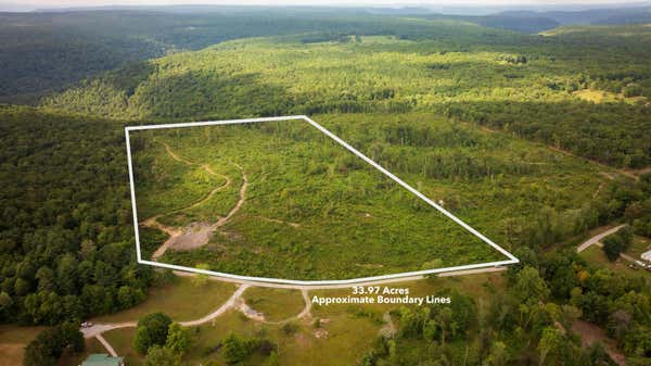 711 LICK POINT RD, SEQUATCHIE, TN 37374 - Image 1