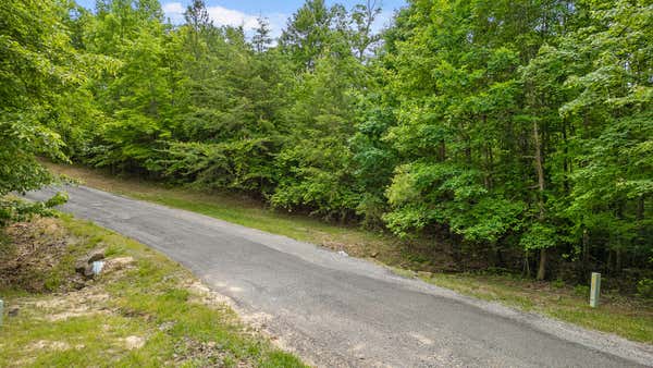 LOT 419 TALL TREE TR, DUNLAP, TN 37327, photo 5 of 25