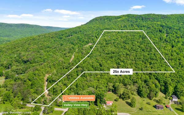 25 ACRES VALLEY VIEW HWY, WHITWELL, TN 37397 - Image 1