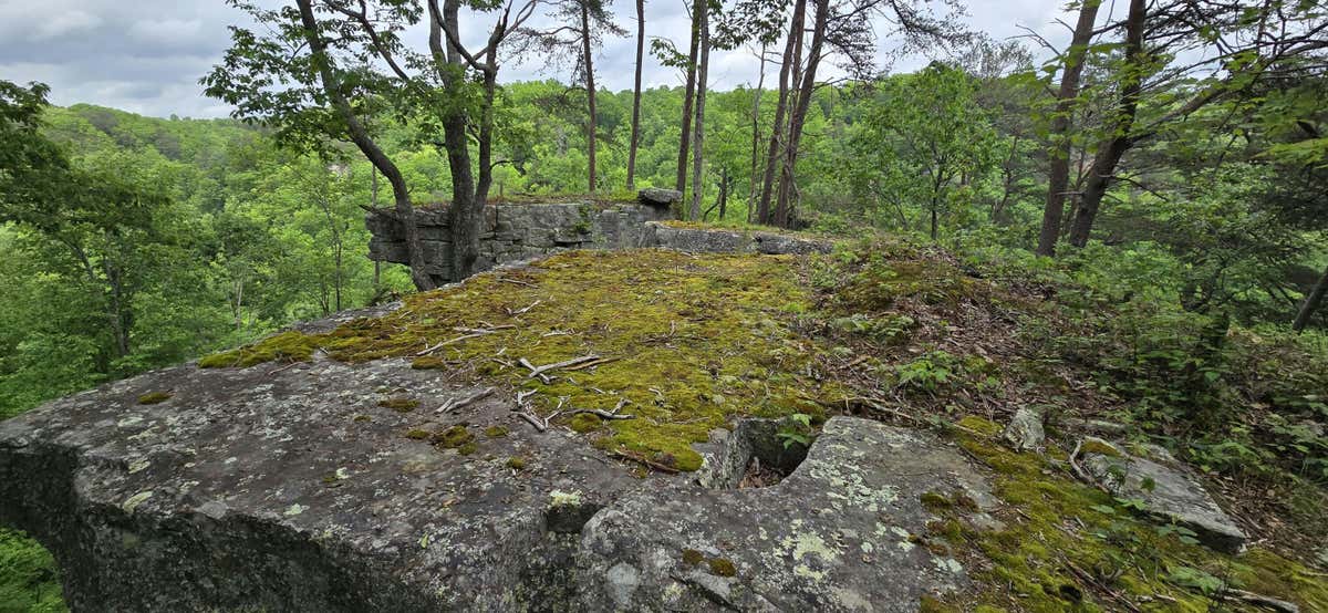 0 BRIDAL VEIL, MONTEAGLE, TN 37356, photo 1 of 21