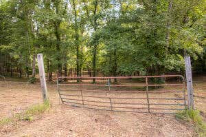 12814 CRANFIELD RD, BIRCHWOOD, TN 37308 - Image 1