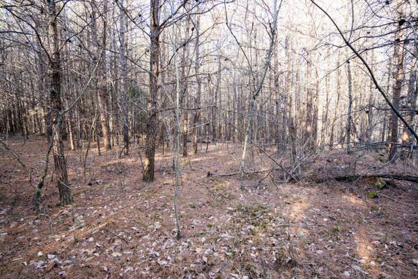 3 ACRES DENVIL DR, TRENTON, GA 30752, photo 2 of 19