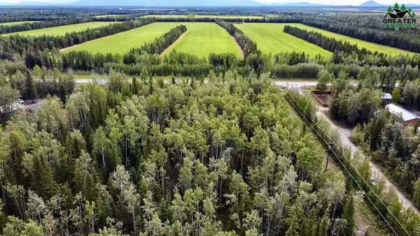 LOT 31 REMINGTON ROAD, DELTA JUNCTION, AK 99737 - Image 1