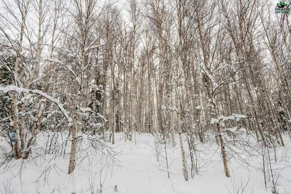 NHN CHENA RIDGE ROAD, FAIRBANKS, AK 99709 - Image 1