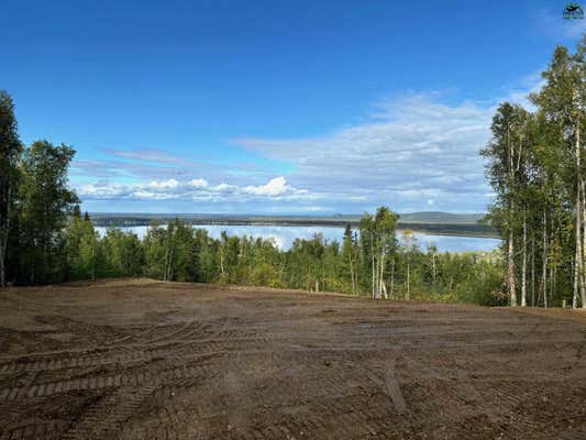 NHN WHITE BIRCH ROAD, SALCHA, AK 99714 - Image 1