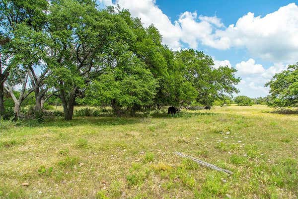 LOT 2 FM 2093 # 2, HARPER, TX 78631 - Image 1