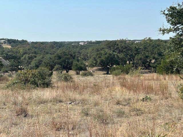 134 GEORGE DOLSON # 1527, BLANCO, TX 78606, photo 1 of 12