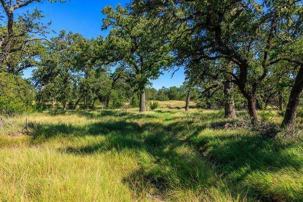 000 OTTMERS RD, FREDERICKSBURG, TX 78624, photo 3 of 36