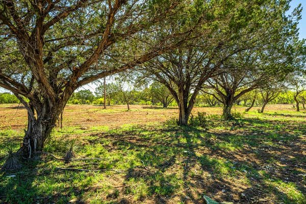 1806 RANCH ROAD 385, LONDON, TX 76854, photo 3 of 6