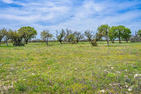 LOT 18 GOOSE LANDING WAY # 113, HARPER, TX 78631 - Image 1