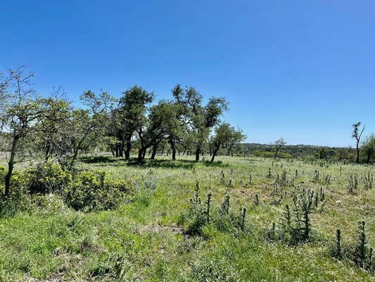 7 JUNG RD, HARPER, TX 78631, photo 3 of 13