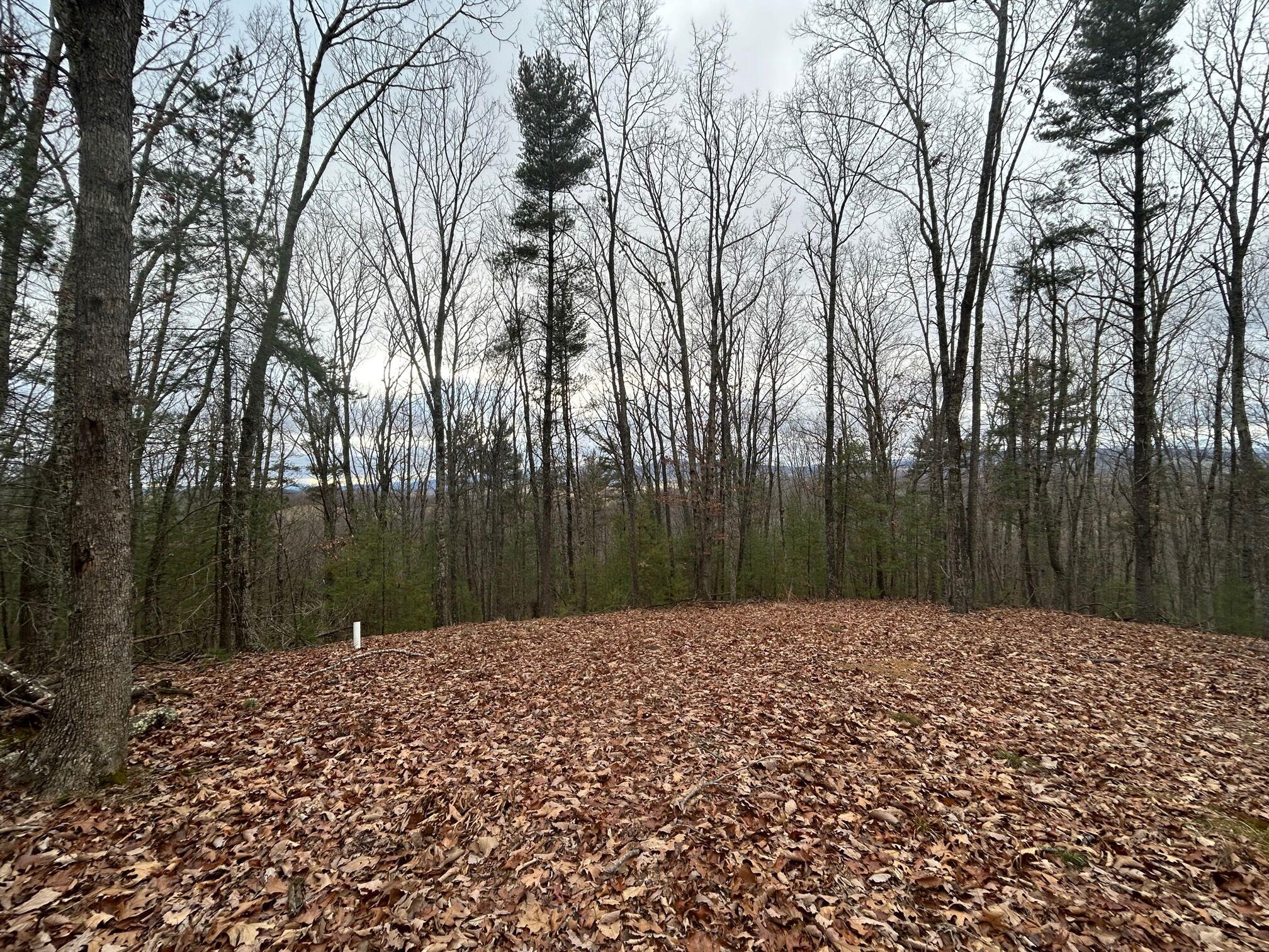 Secondcreek, West Virginia, 24974, United States, ,2 BathroomsBathrooms,Residential,Active,1769466