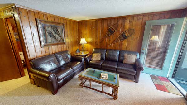 30 TREE TOP, SNOWSHOE, WV 26209 - Image 1