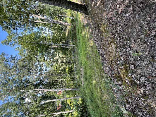 LOT 4 ELLISON RIDGE RD, JUMPING BRANCH, WV 25969 - Image 1