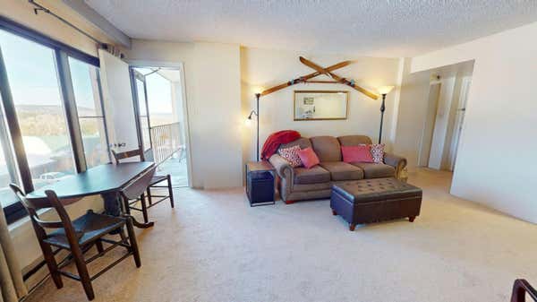 UNIT #2306 862 SILVER CREEK PKWY, SNOWSHOE, WV 26209, photo 4 of 21