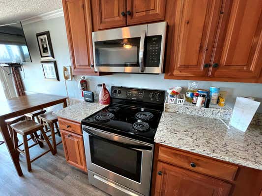 345 MOUNTAIN LODGE, SNOWSHOE, WV 26209, photo 3 of 32