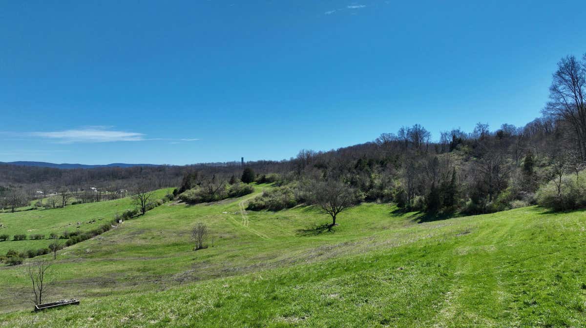 MCMILLIAN ROAD, FRANKFORD, WV 24938, photo 1 of 34