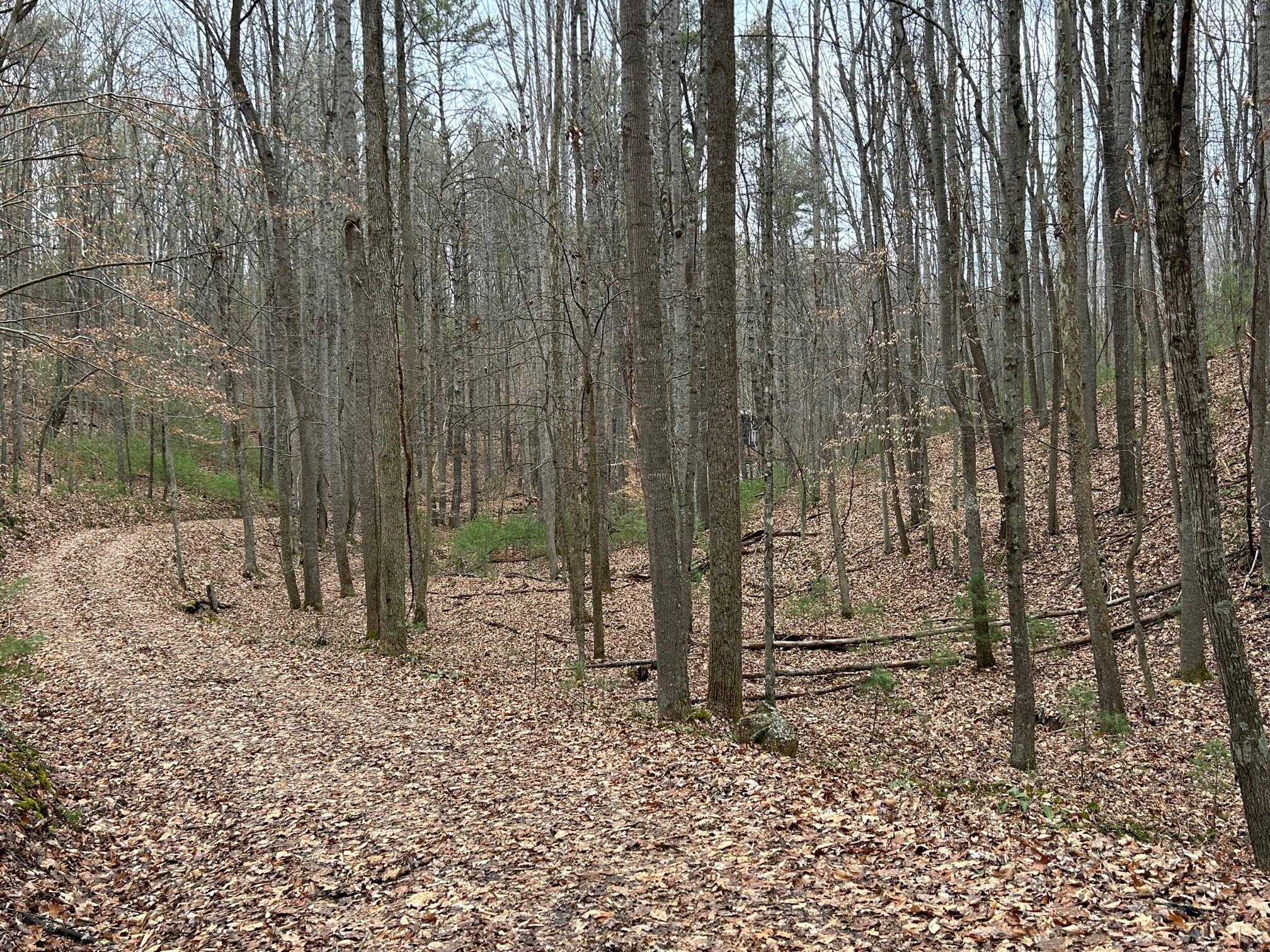 Secondcreek, West Virginia, 24974, United States, ,2 BathroomsBathrooms,Residential,Active,1769466