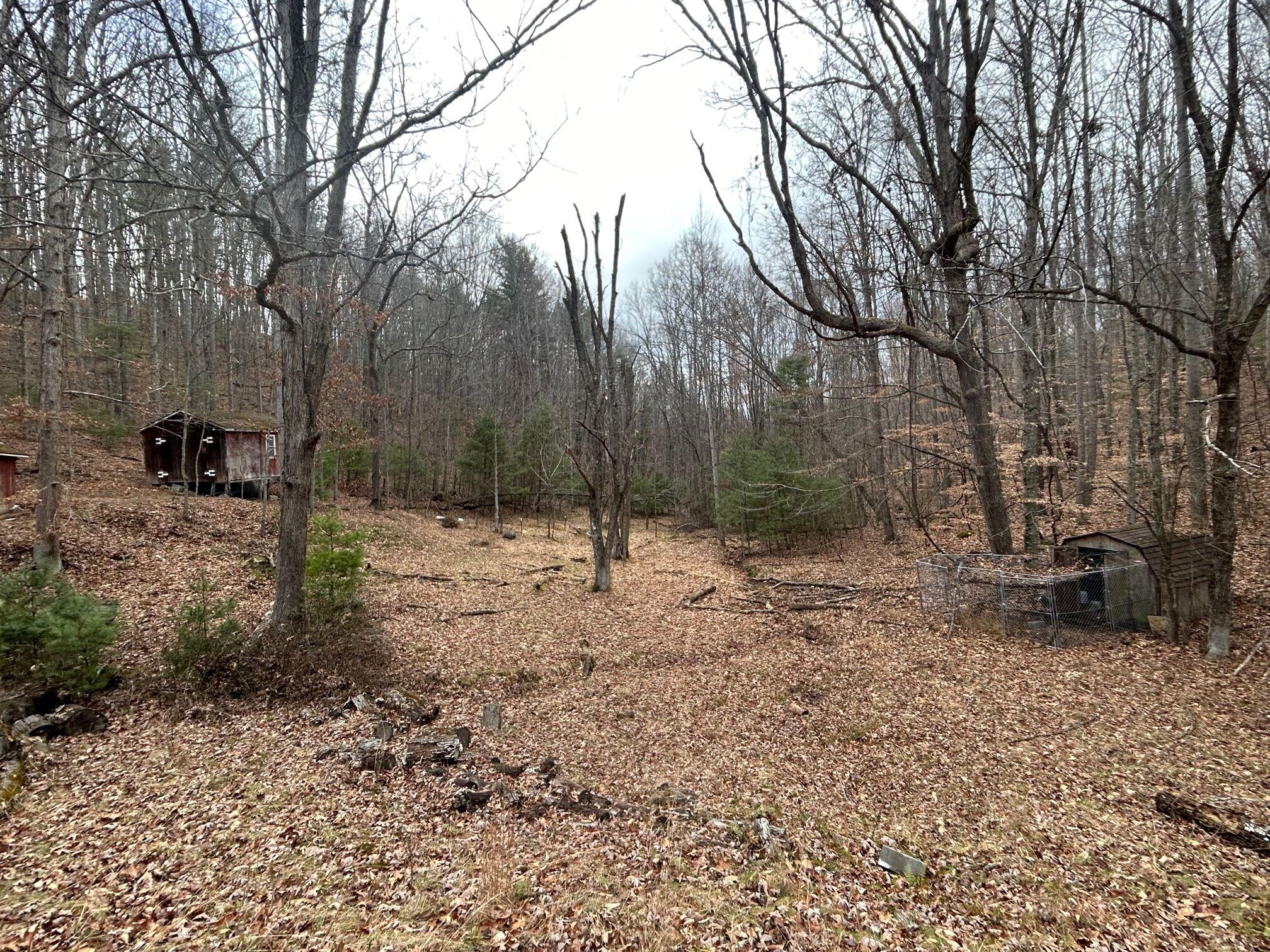 Secondcreek, West Virginia, 24974, United States, ,2 BathroomsBathrooms,Residential,Active,1769466