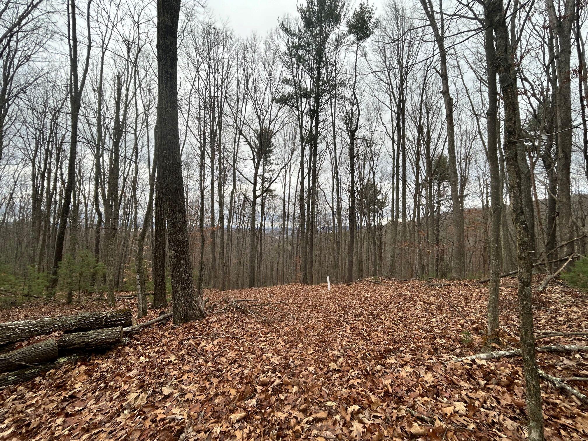 Secondcreek, West Virginia, 24974, United States, ,2 BathroomsBathrooms,Residential,Active,1769466