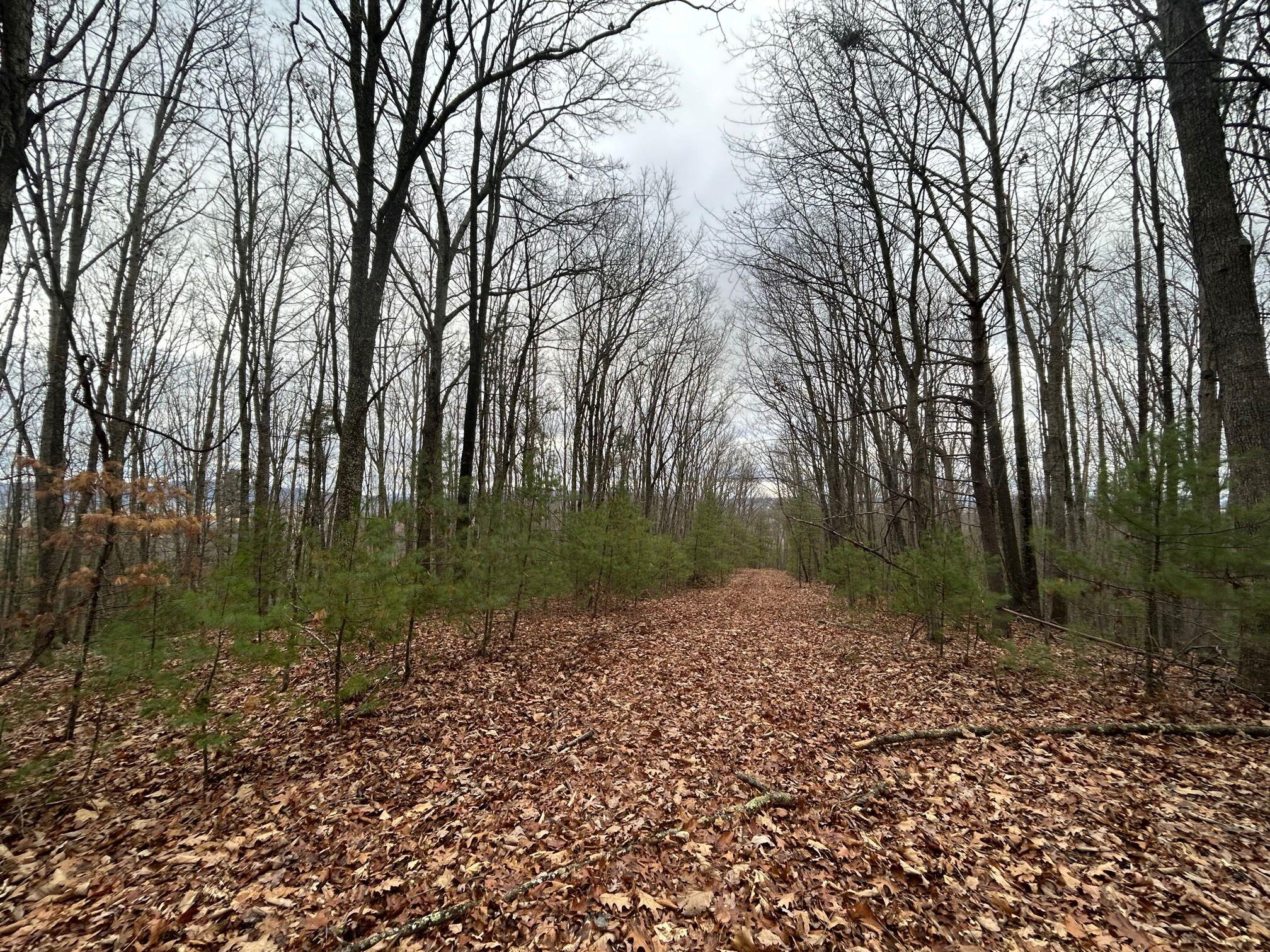 Secondcreek, West Virginia, 24974, United States, ,2 BathroomsBathrooms,Residential,Active,1769466