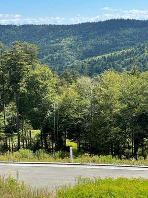 H7 HIGHLANDS DR. AT THE SANCTUARY, SNOWSHOE, WV 26209, photo 2 of 4