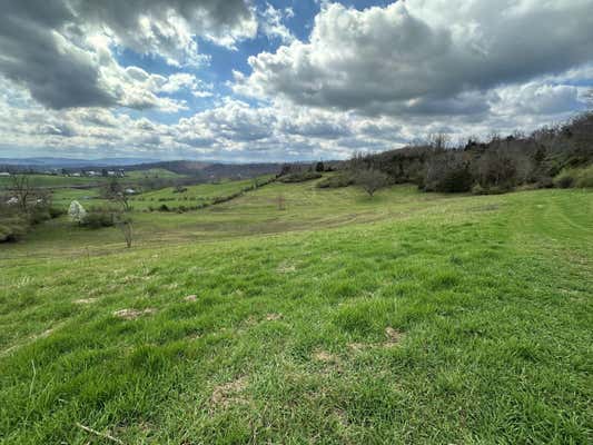 MCMILLIAN ROAD, FRANKFORD, WV 24938, photo 5 of 34