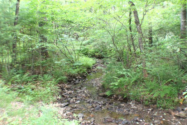 AUTUMN VIEW LANE, MARLINTON, WV 24954 - Image 1