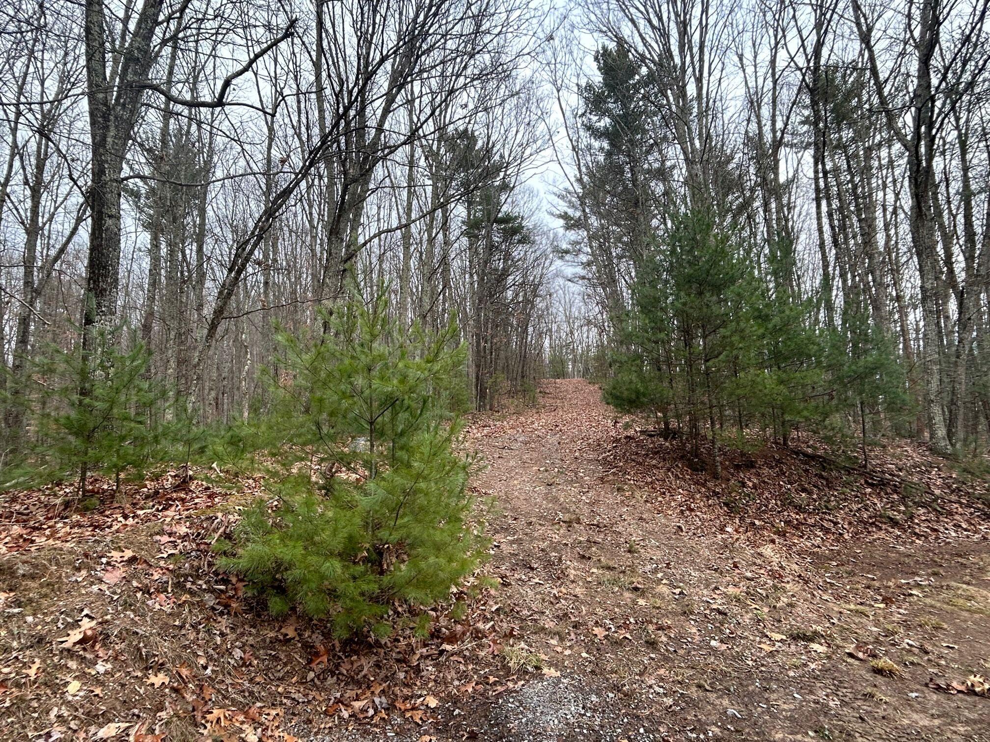 Secondcreek, West Virginia, 24974, United States, ,2 BathroomsBathrooms,Residential,Active,1769466