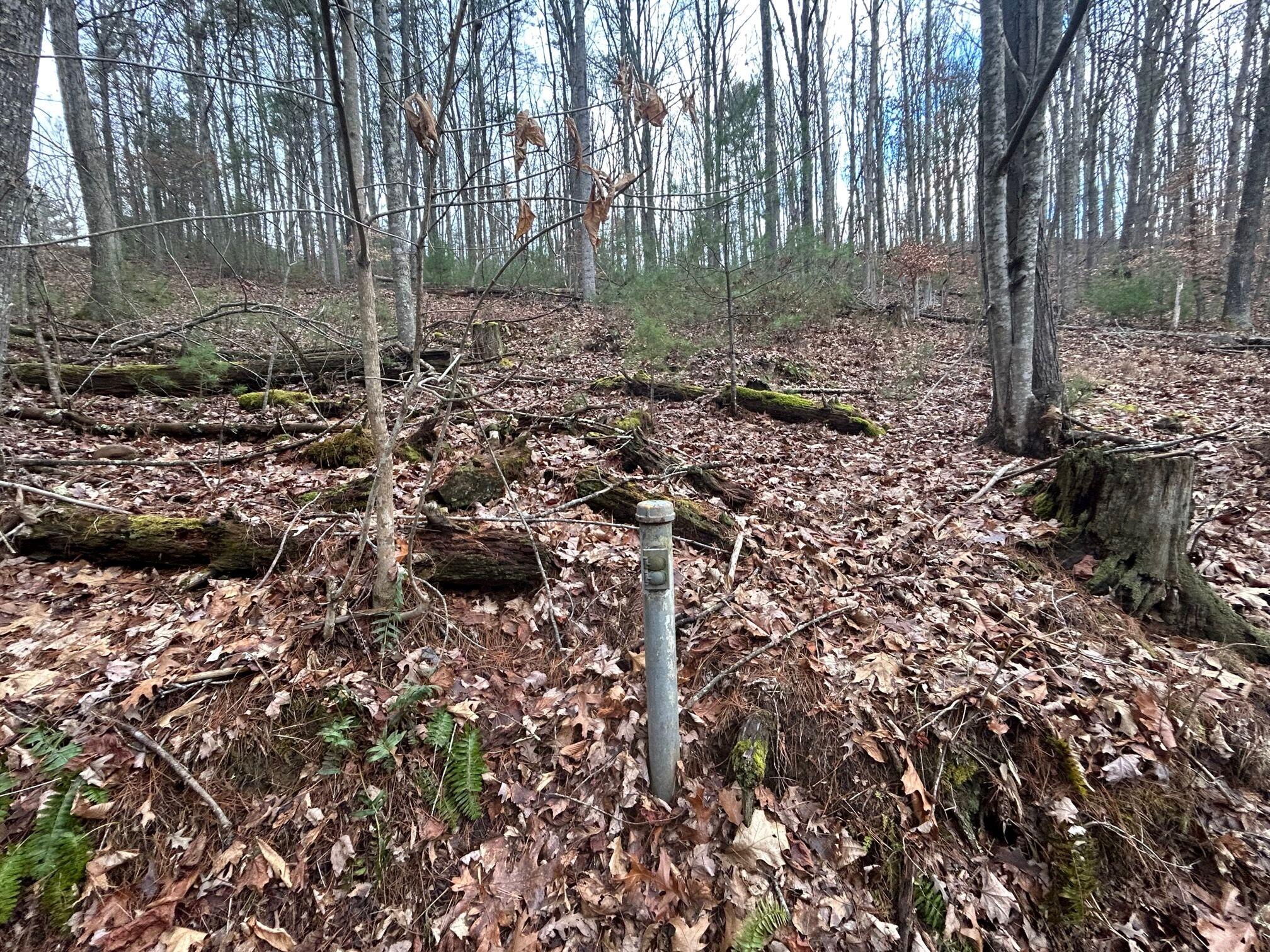 Secondcreek, West Virginia, 24974, United States, ,2 BathroomsBathrooms,Residential,Active,1769466