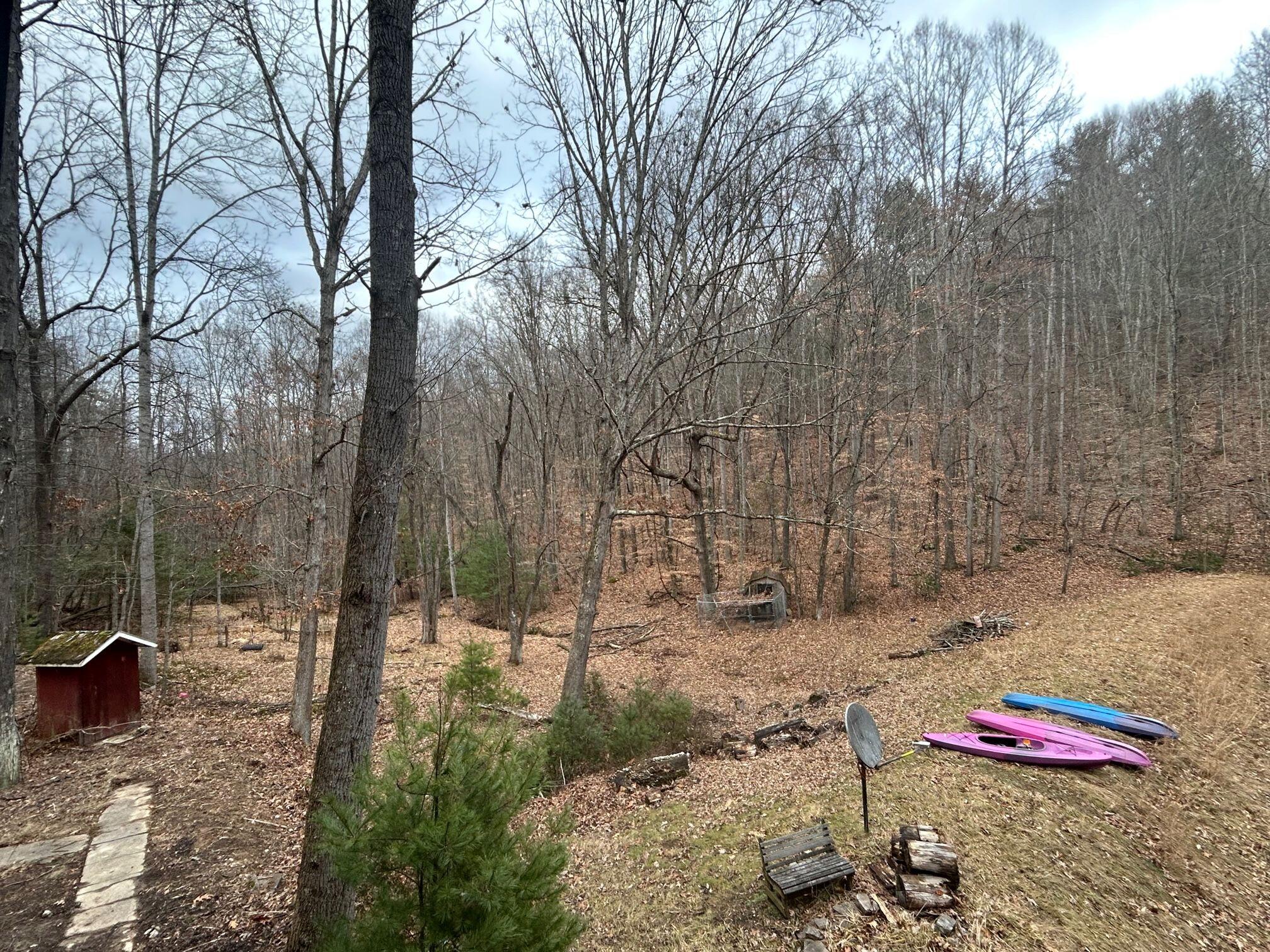 Secondcreek, West Virginia, 24974, United States, ,2 BathroomsBathrooms,Residential,Active,1769466