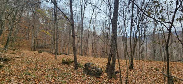 9 AC BEAR VIEW TRL, HILLSBORO, WV 24946 - Image 1