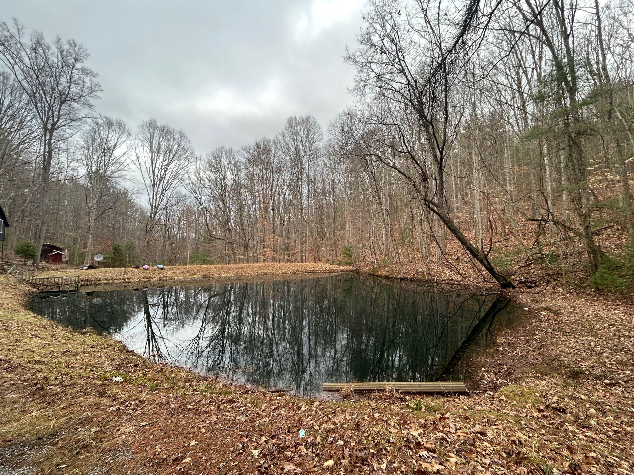 Secondcreek, West Virginia, 24974, United States, ,2 BathroomsBathrooms,Residential,Active,1769466