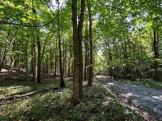 FOX CRK HOLLOW, WALNUT SPRINGS, UNION, WV 24983 - Image 1