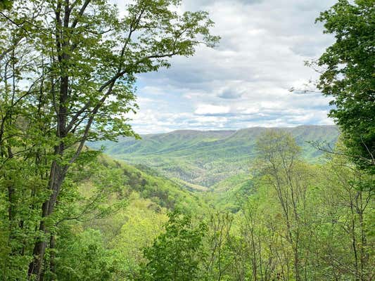 LOT 125 WITHROW LANDING THE RETREAT, CALDWELL, WV 24925 - Image 1