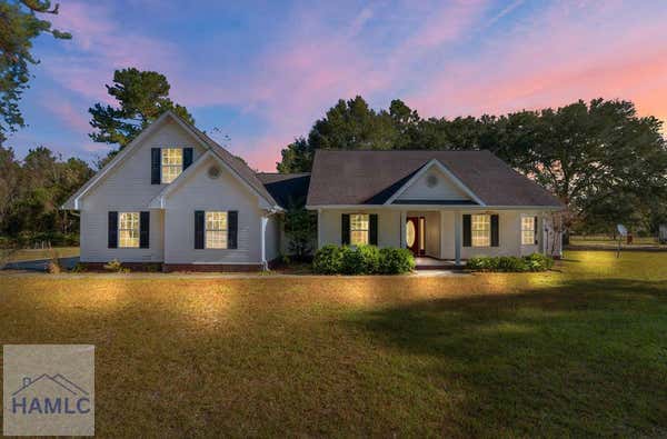 116 DARWEL LONG RD NE, LUDOWICI, GA 31316 - Image 1