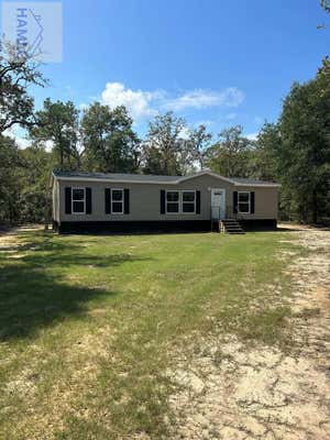 3 OHOOPEE RIVER DR, GLENNVILLE, GA 30427 - Image 1