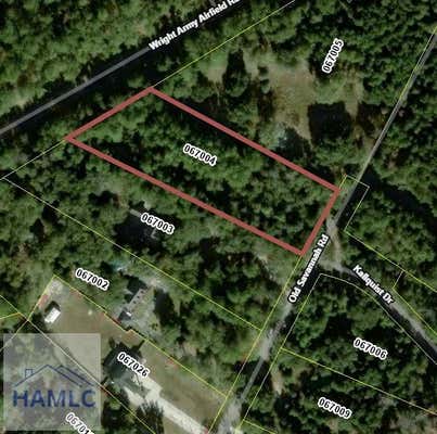 2.62 AC OLD SAVANNAH ROAD, FLEMINGTON, GA 31313 - Image 1