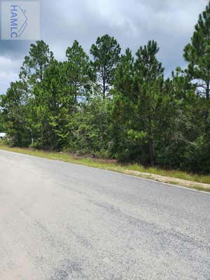 LOT #1 FREEDMAN GROVE ROAD, MIDWAY, GA 31320 - Image 1