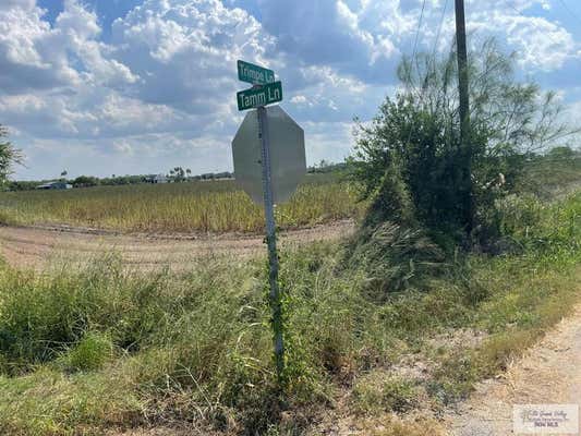 10.59 ACRES S TAMM LN, HARLINGEN, TX 78550, photo 3 of 7