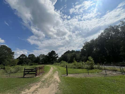 30 +/- ACRES OLD HWY 49, SEMINARY, MS 39479 - Image 1