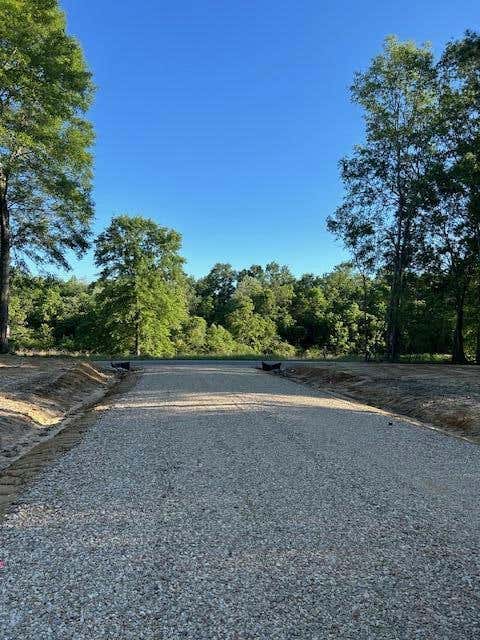 1 SAVANNAH MILLARD RD, POPLARVILLE, MS 39470, photo 1 of 10