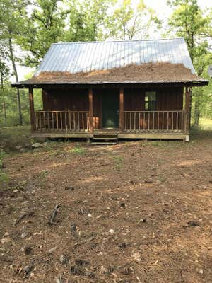 231 MOUNT BETHEL RD, SANDY HOOK, MS 39478 - Image 1