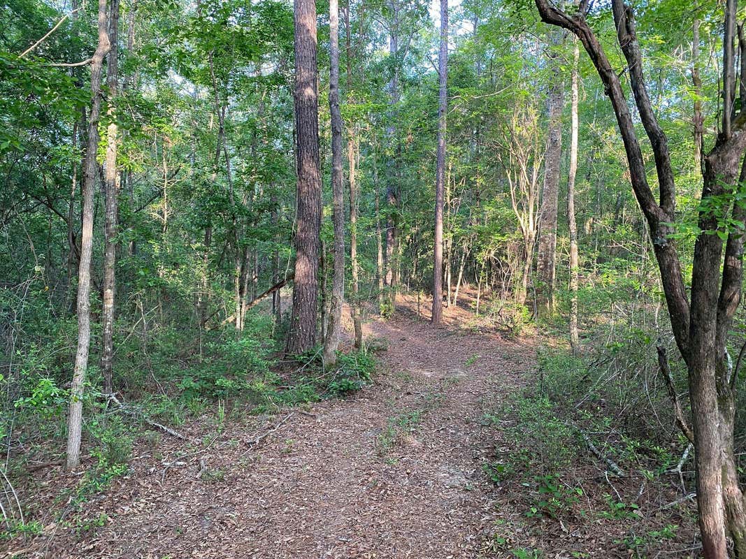 107.3 ACRE REDMOND RD., LUMBERTON, MS 39455, photo 1 of 23